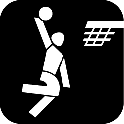 Icon Basketball