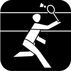 Icon Badminton