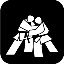 Icon Judo
