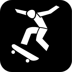 Icon Skateboarding