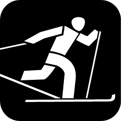 Icon Skilanglauf
