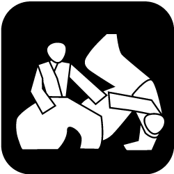 Icon Kampfsportarten
